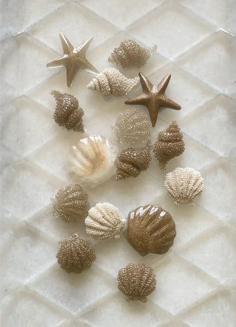 Asha's Decorative Resin seashells