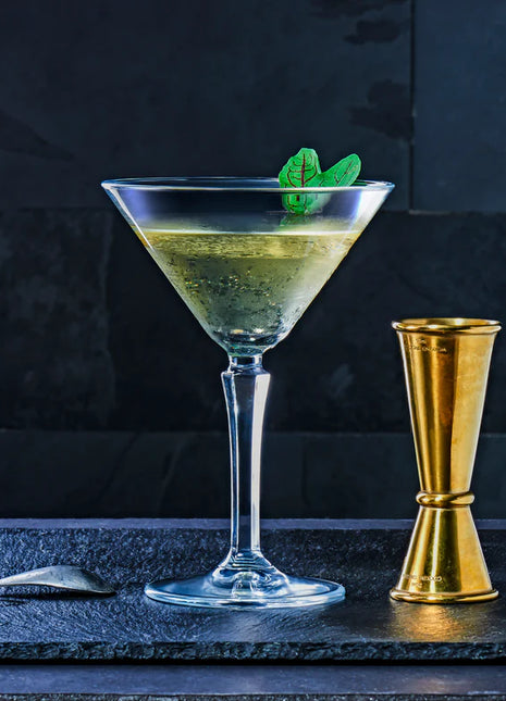 Pasabahce Hudson Martini Glass - 230ml