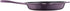 BergHoff Ron 27cm Cast Iron Fry Pan Purple