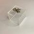 Zee Designs Plexi Glass Ramadan Kareem Boxes