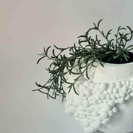 Pots N' Objects Pebble Pot