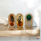 Set of 3 Trays