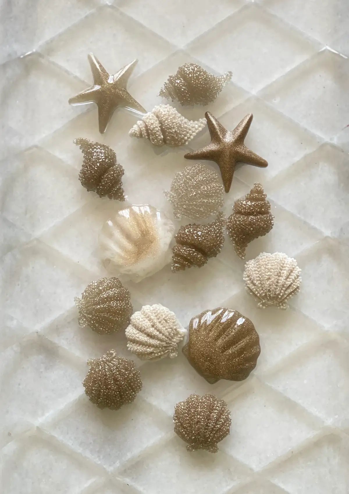 Asha's Decorative Resin seashells