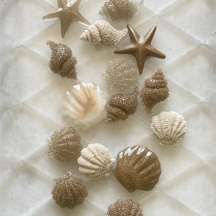 Asha's Decorative Resin seashells