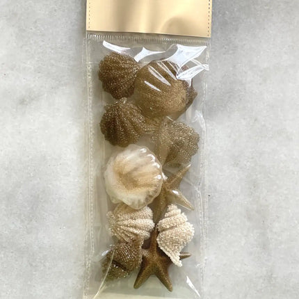 Asha's Decorative Resin seashells