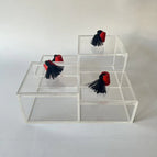4 compartment box 21*21cm
