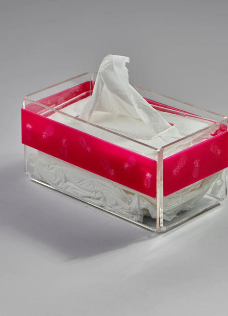 Zee Designs Plexi Glass Pineapple Tissue Box