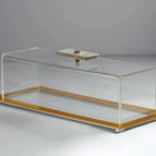 Transparent Tray with Gold Frame / Beige Marble Knob