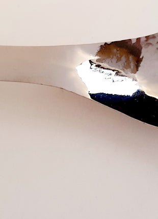 Arze Butterfly Serving Spoon