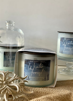 Muse Organic Candles Winter Forest Candle (Sandler, Amber and Jasmine) (380 g)