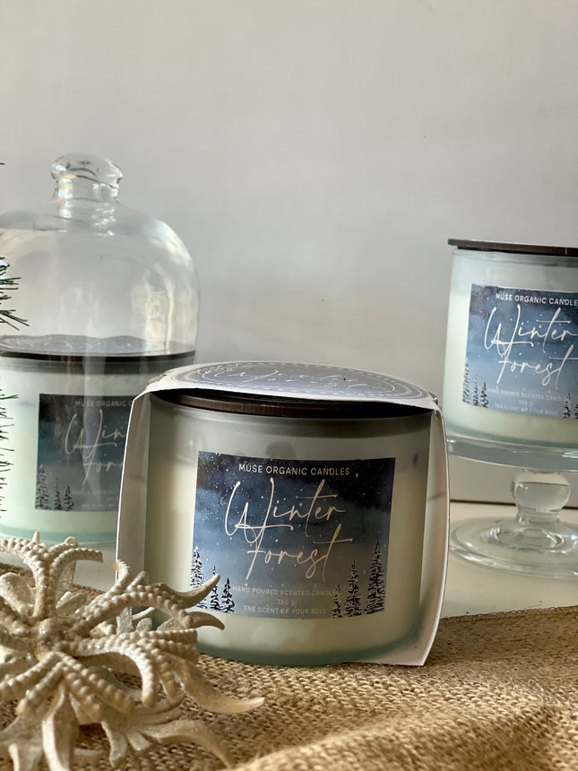 muse-organic-candles-winter-forest-candle-sandler-amber-and-jasmine-380-gm